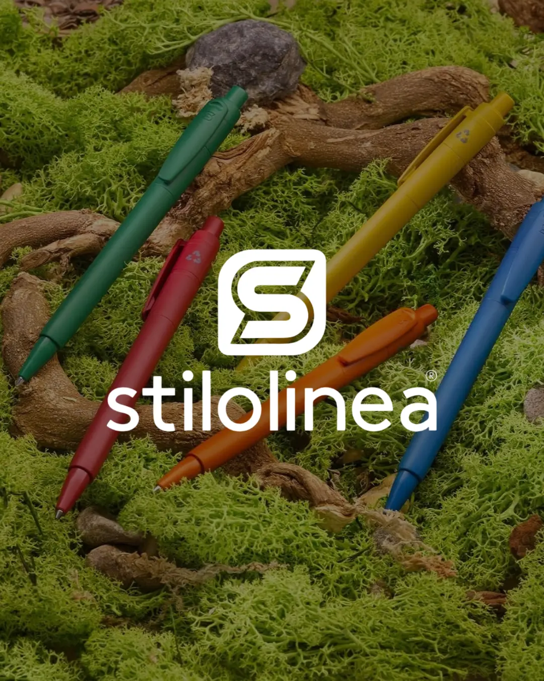 14-stilolinea-xerfo